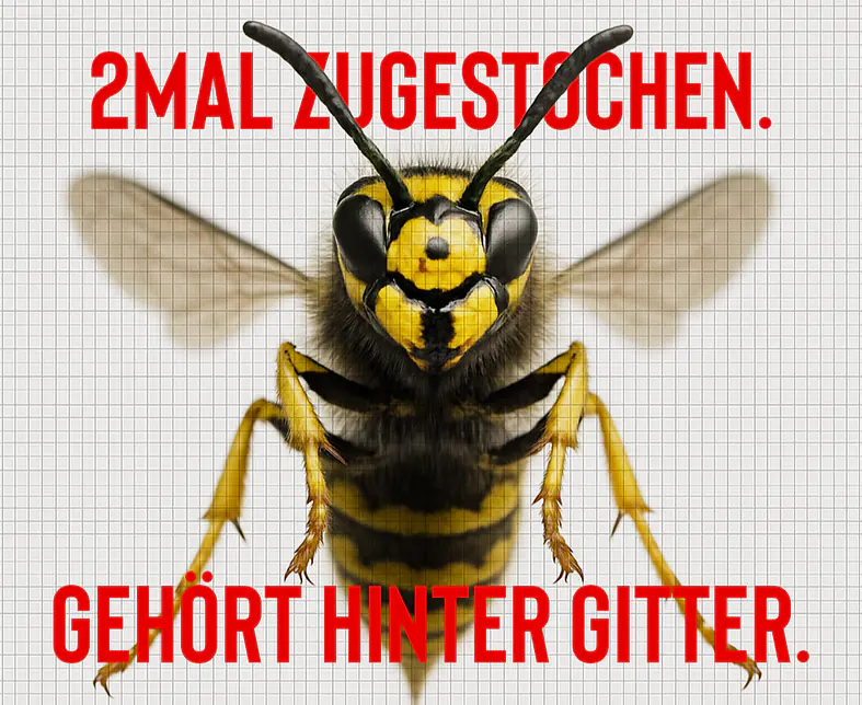 Zeichenfläche 4.png