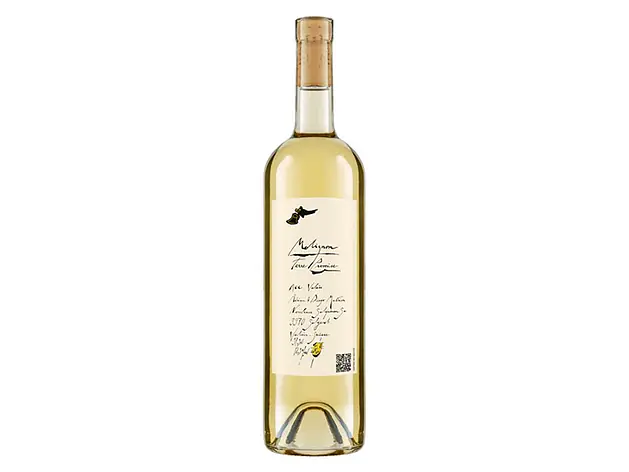 Molignon Terre Promise AOC