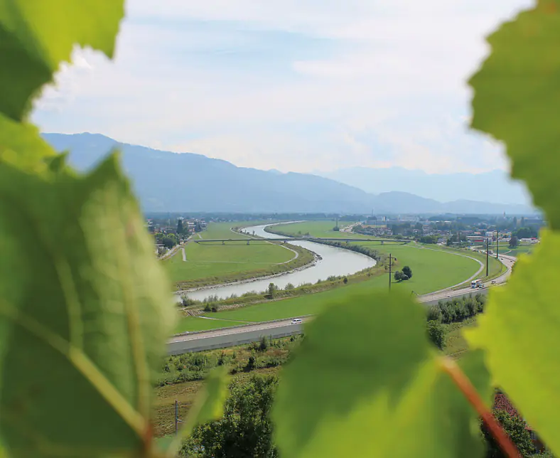 Alpenrhein.jpg